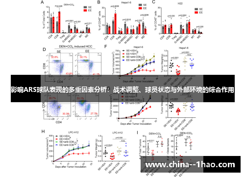 影响ARS球队表现的多重因素分析：战术调整、球员状态与外部环境的综合作用