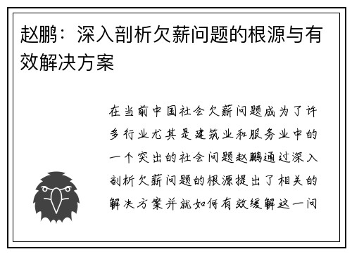 赵鹏：深入剖析欠薪问题的根源与有效解决方案