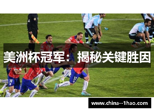 美洲杯冠军：揭秘关键胜因