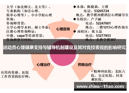 运动员心理健康支持与辅导机制建设及其对竞技表现的影响研究