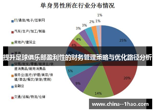 提升足球俱乐部盈利性的财务管理策略与优化路径分析 提升足球俱乐部盈利性的财务管理策略与优化路径分析