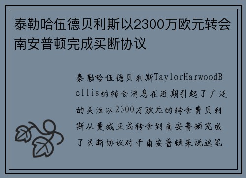 泰勒哈伍德贝利斯以2300万欧元转会南安普顿完成买断协议